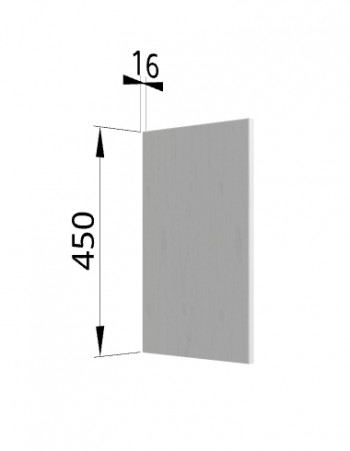 Панель торцевая (для шкафа горизонтального высокого) ВПГ Ройс (Графит софт) в Чернореченском - chernorechenskij.mebel54.com | фото